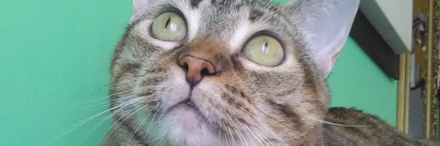 almadel2904's profile banner image