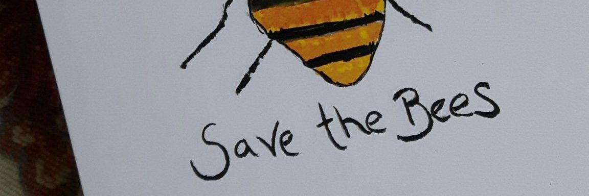 libby_basnett's profile banner image