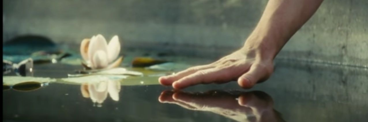 SelvaCapci's profile banner image