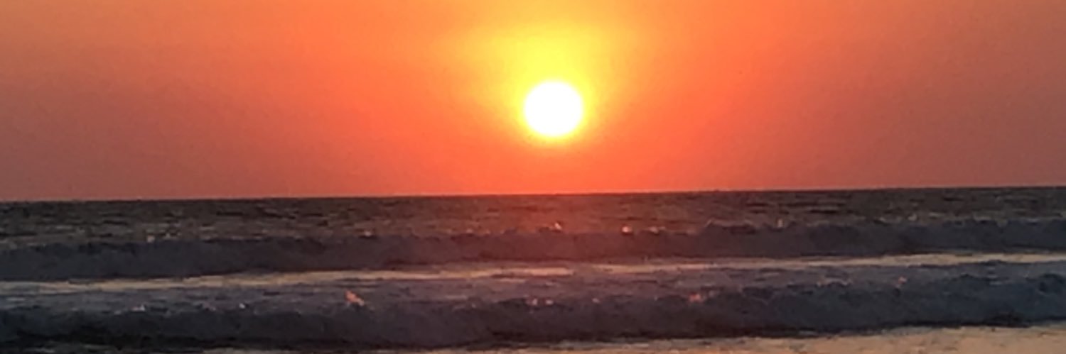 MayteAlcelay's profile banner image
