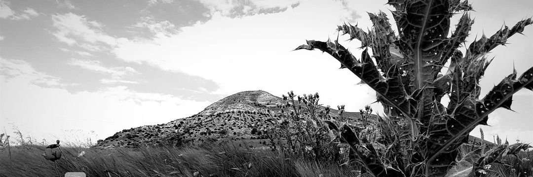 MarioMariomm's profile banner image