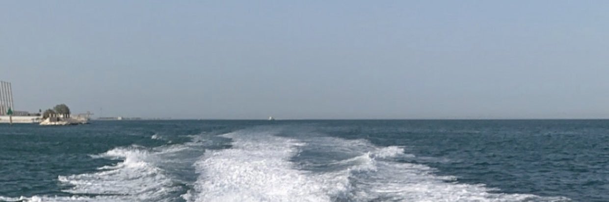 محمد الودعاني banner