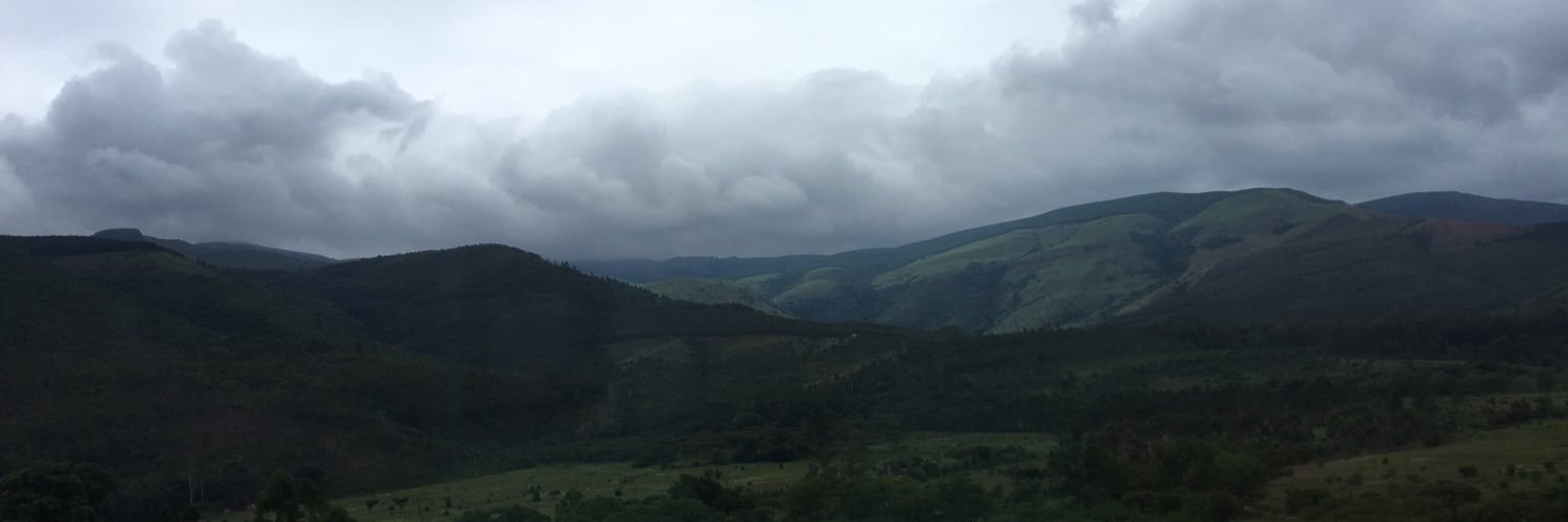 Bailey Peterson-Wilhelm banner