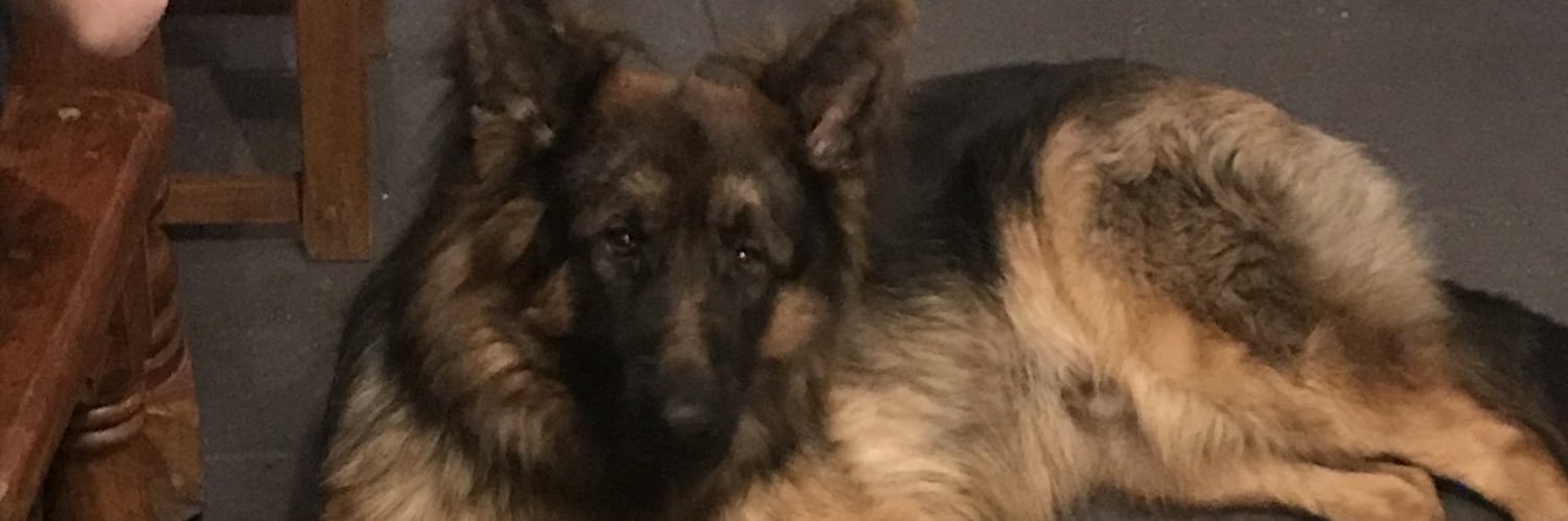 fergal23's profile banner image