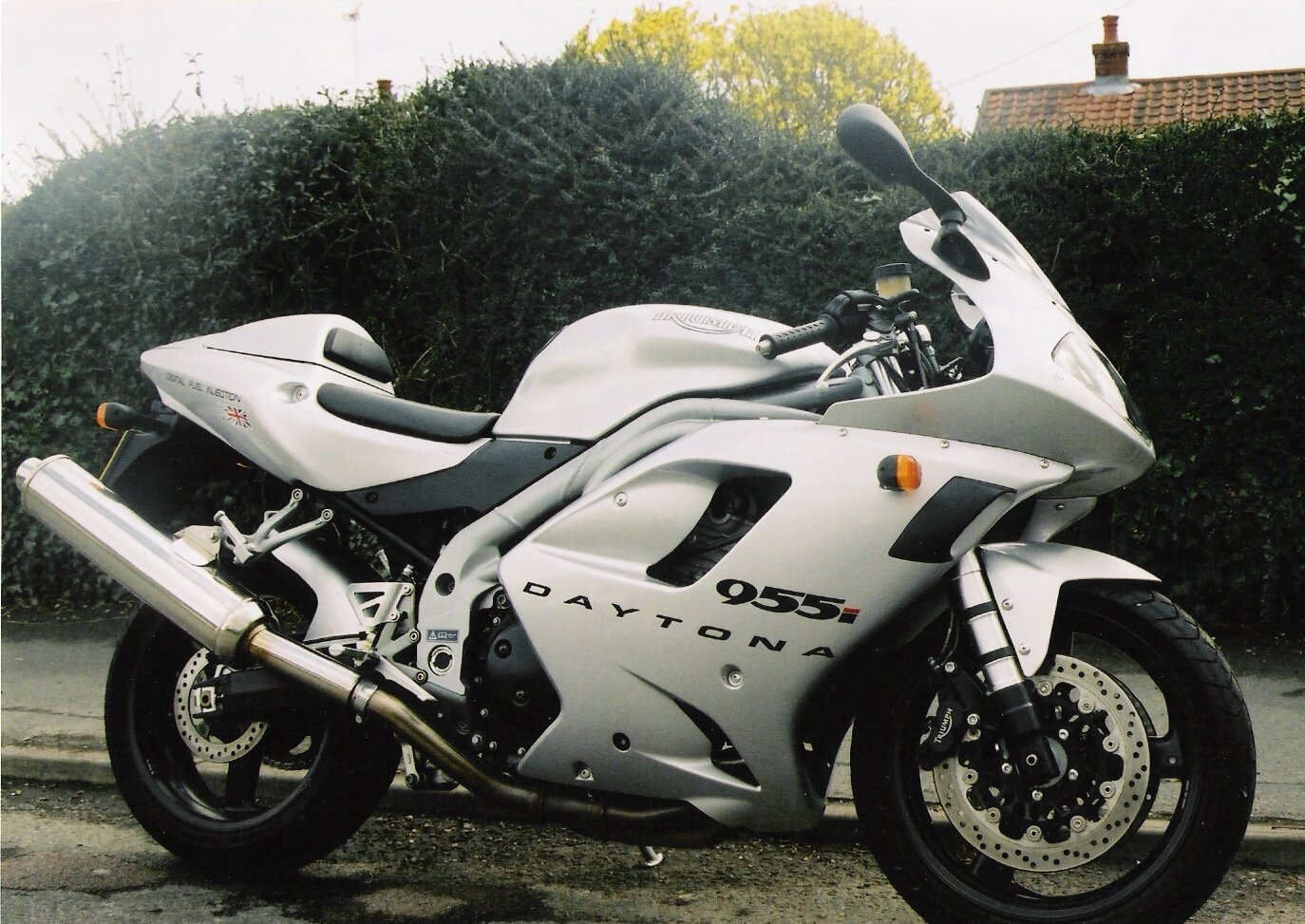 woodbridge birder💙 banner