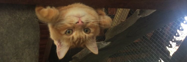 malkimz's profile banner image