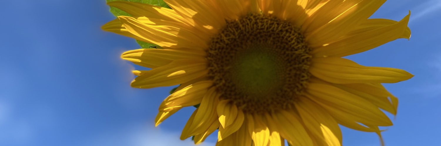 SciencewithKate's profile banner image