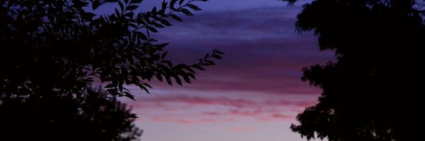 beluperes's profile banner image