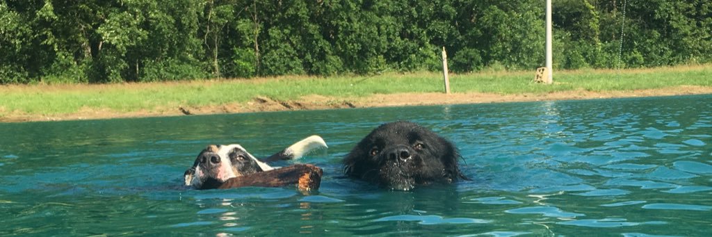 NateDoggDavis's profile banner image