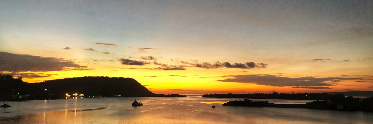 Monica Waqanisau banner