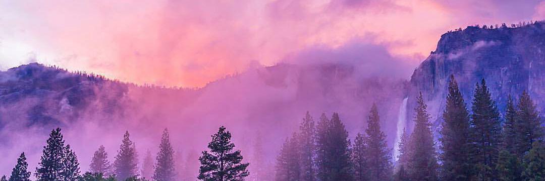 Wdanielle03's profile banner image