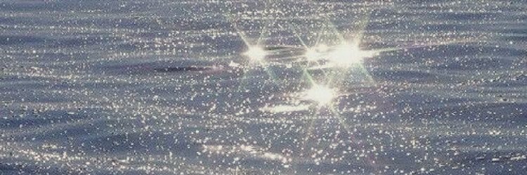 Ro2Ro2_1's profile banner image