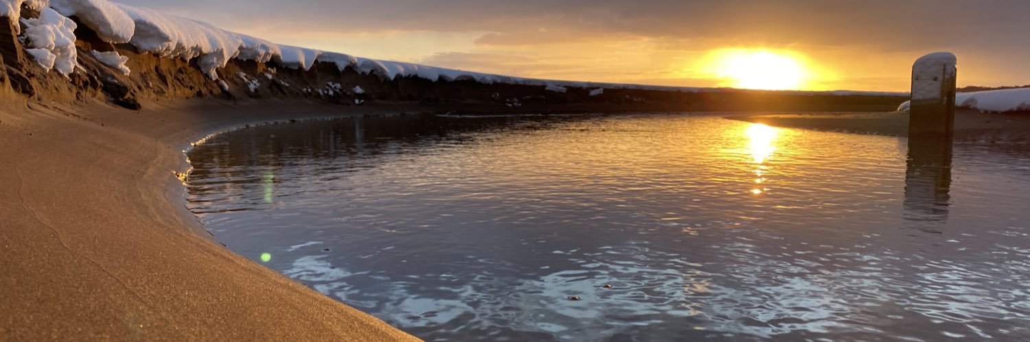 Susanne Walsh banner