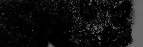 Rasim banner