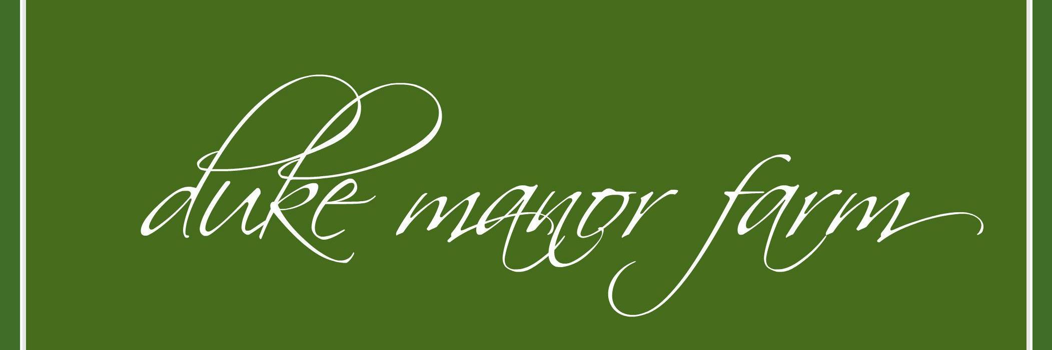 ljanning banner