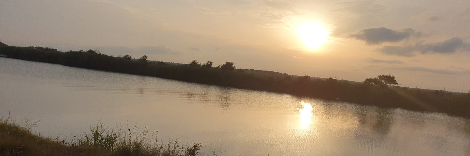 Alexandra James MSc. MSc PGDIP. BSc. RN . QN banner