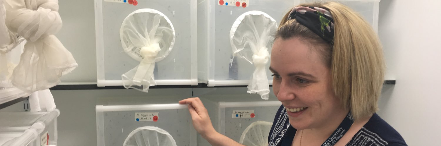 Dr Steph Rainey banner