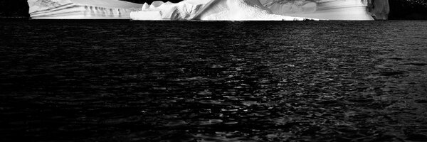 Verticalshot Profile Banner