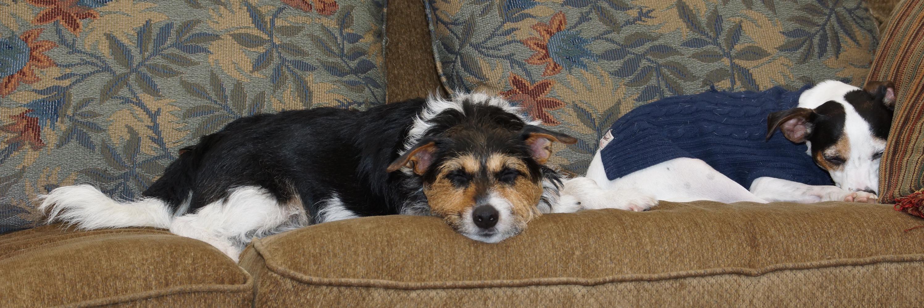 BlueZoneEnterprises banner