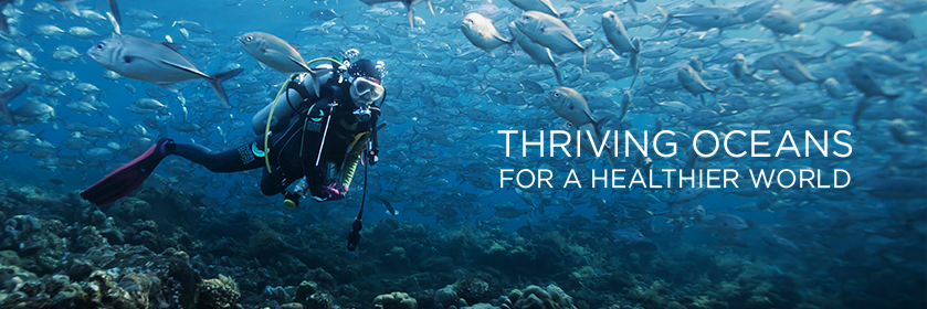 Hubbs-SeaWorld Research Institute banner