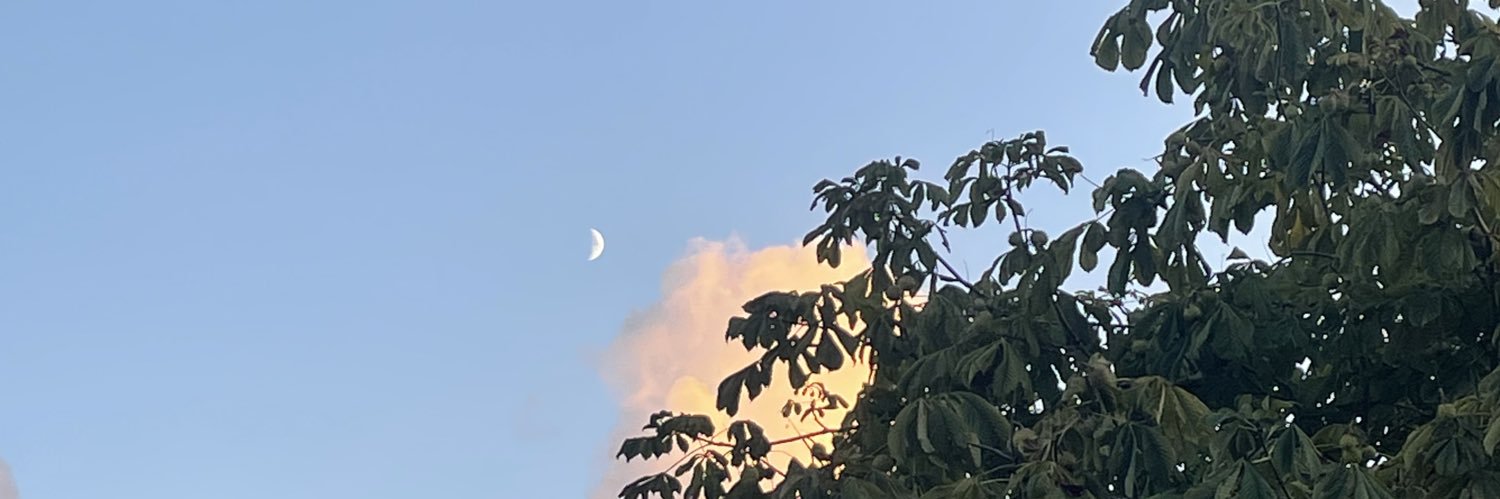 vero_RG21's profile banner image