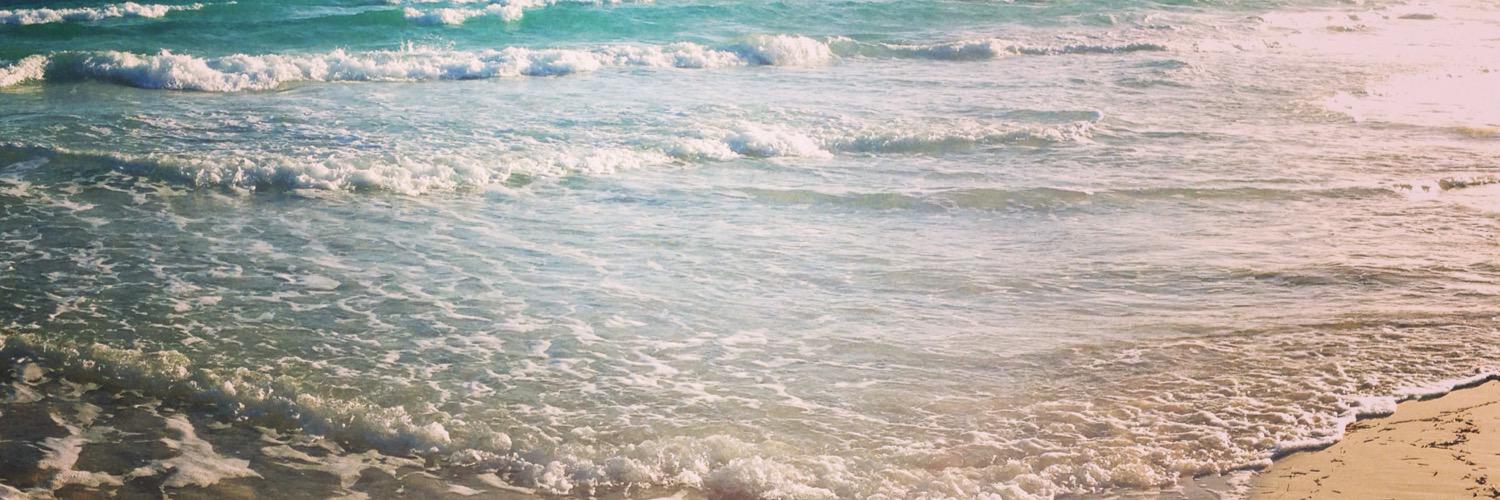 Lissa_Bissa's profile banner image