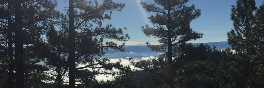 Kdrice's profile banner image