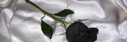 TMarieBaybee's profile banner image