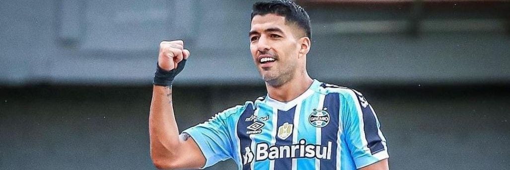 malmuccillo's profile banner image