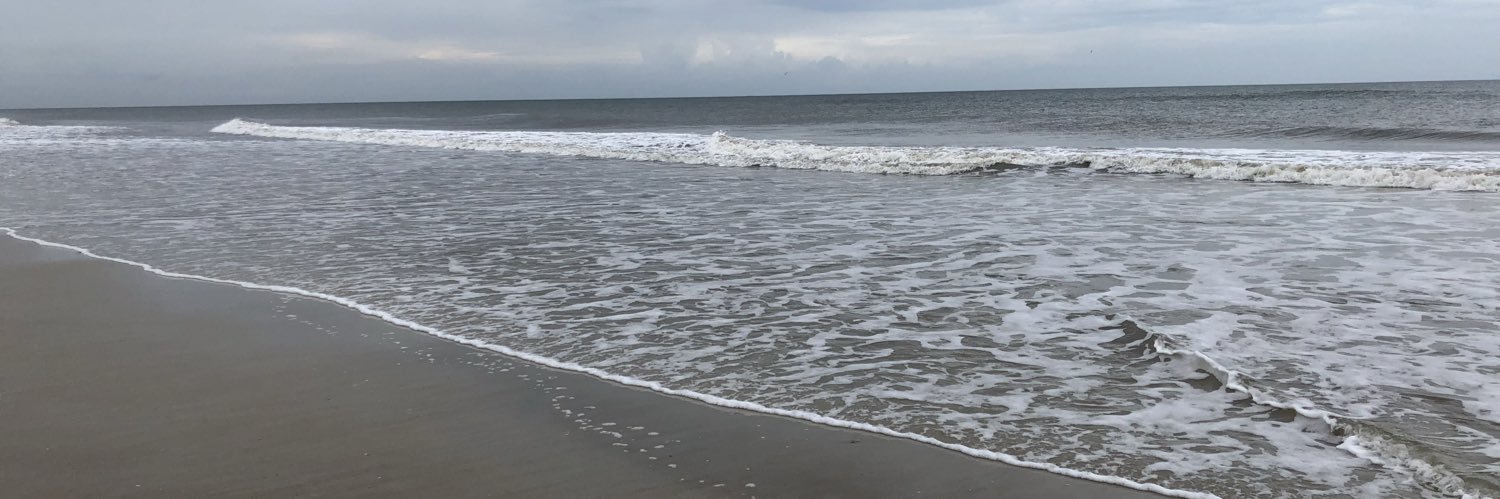 Maggie banner