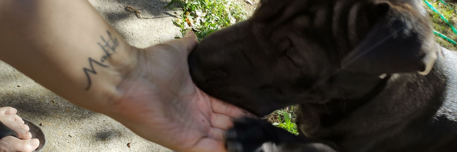 Gisesbaizero's profile banner image