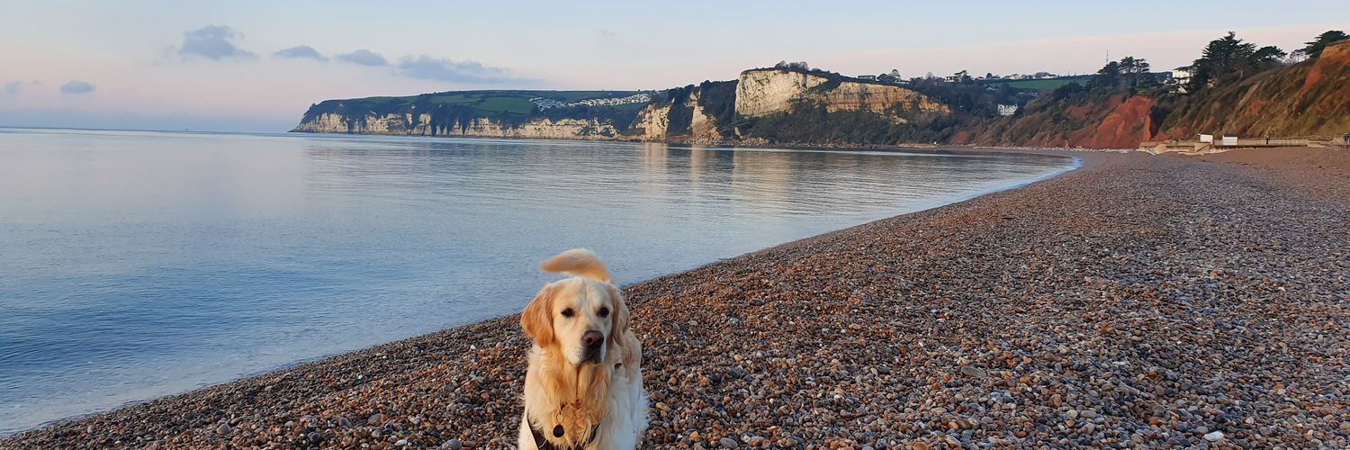 Rob Fellingham banner