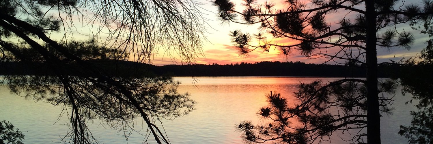 Claire Evanoff banner