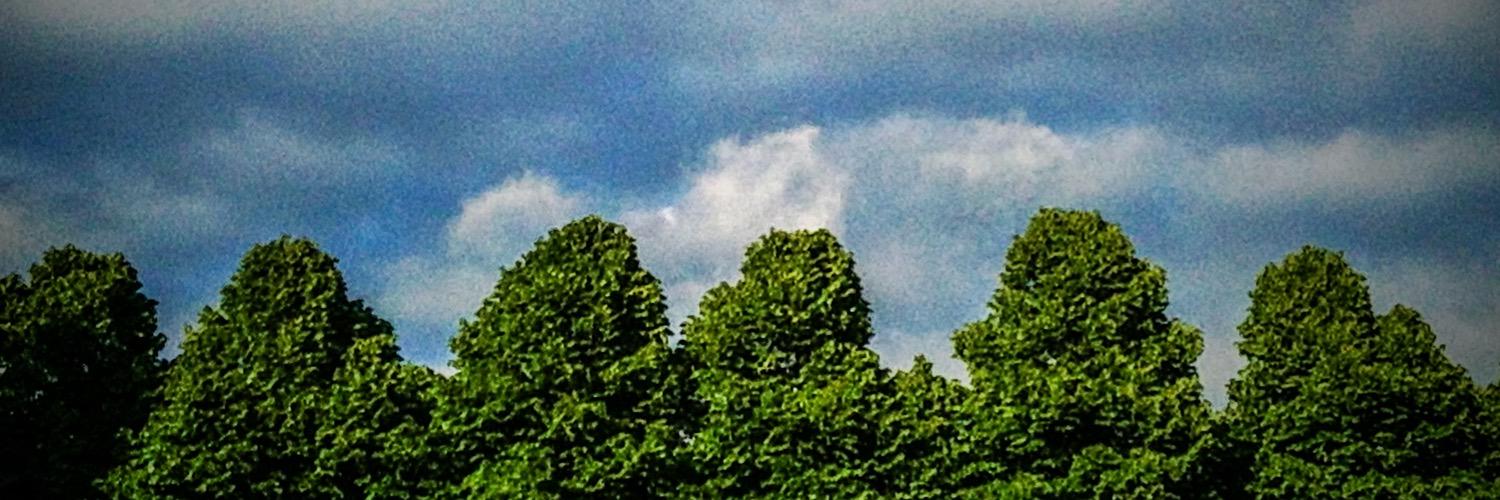 AlbertoRamella's profile banner image