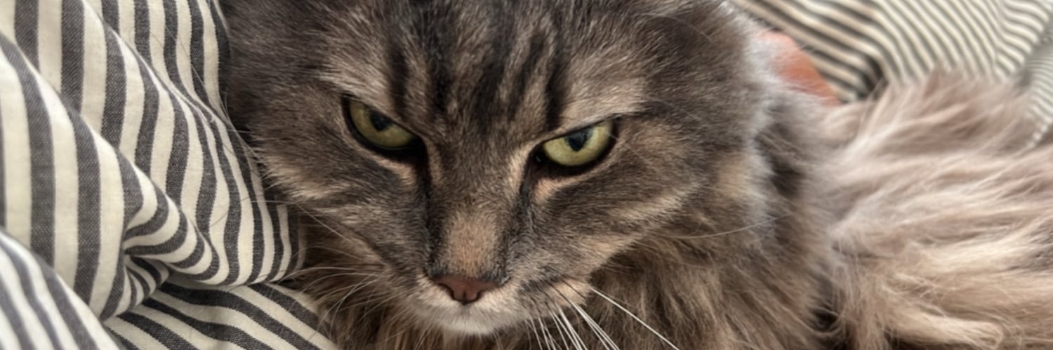 cemilcanozkn's profile banner image