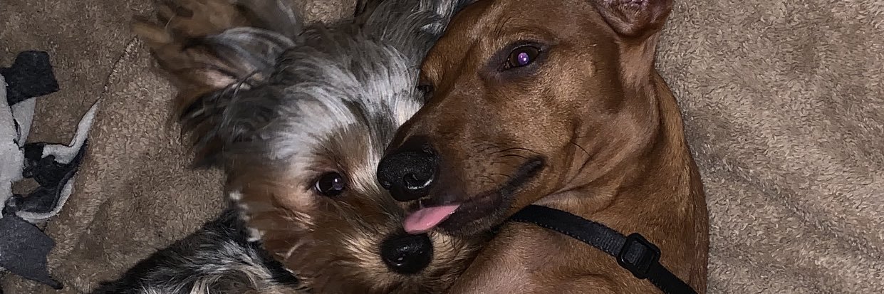 SincerelyRoycee's profile banner image