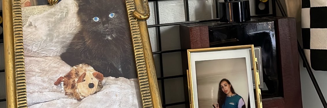 EllenStevens2's profile banner image