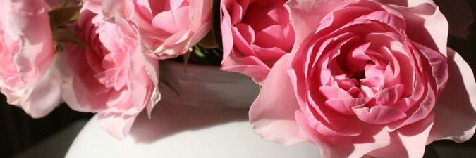 sha4awee_'s profile banner image