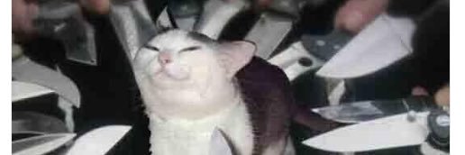 yasmeme96's profile banner image