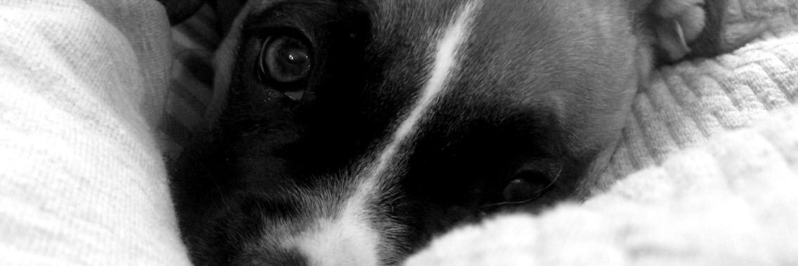 Natalia_Maria6's profile banner image