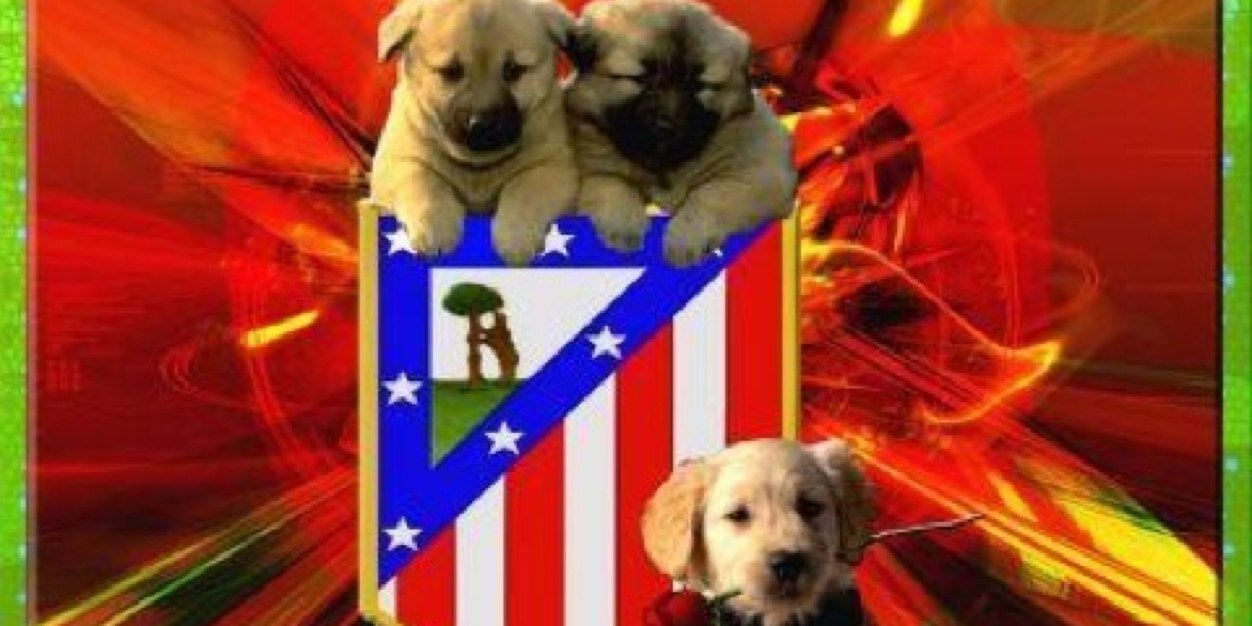 Isabel González banner