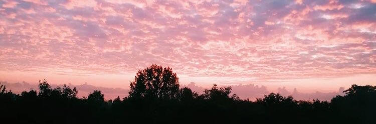 Sofsimoes99's profile banner image