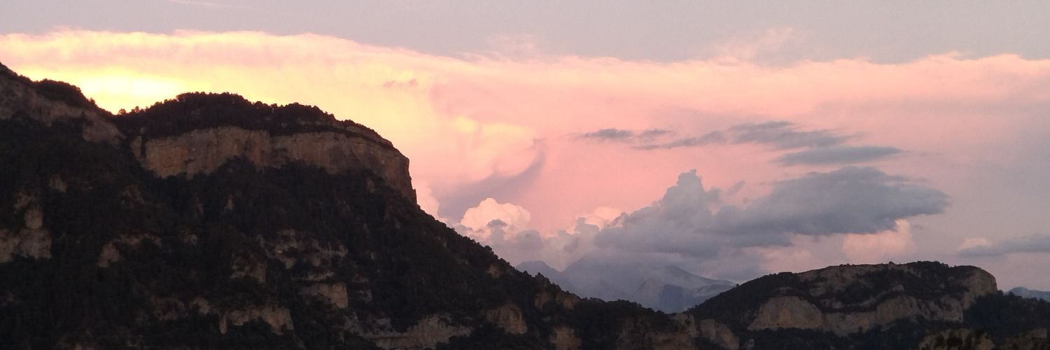 assumpta_mg's profile banner image