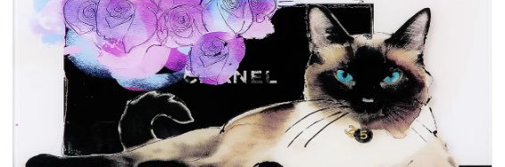 StaciaSook's profile banner image