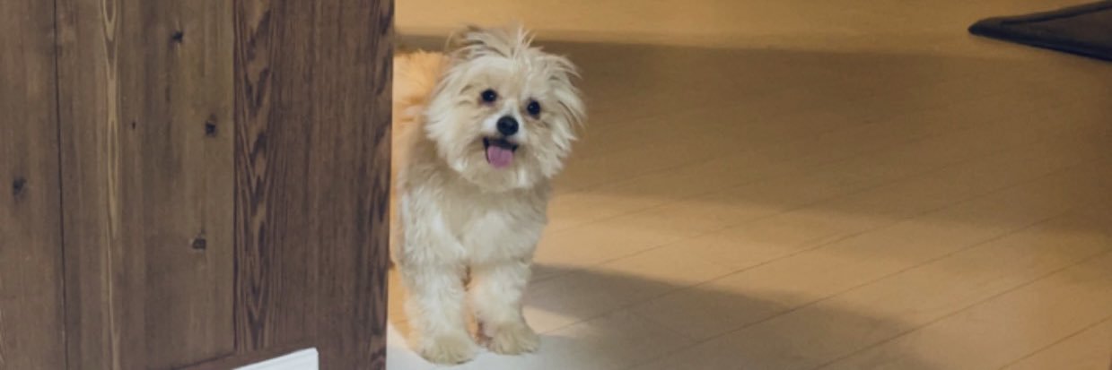 Ohbarbieee_'s profile banner image
