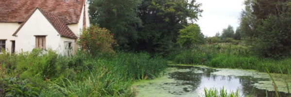 colinenglish Profile Banner