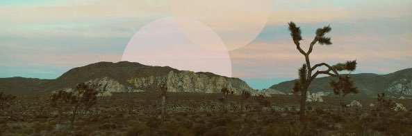 DukeMarmalade's profile banner image
