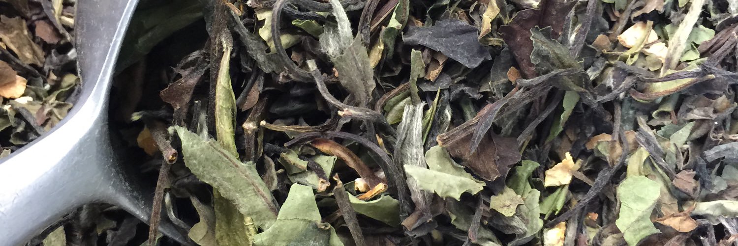 herbalsage's profile banner image