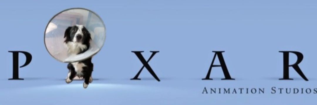 robyn banner