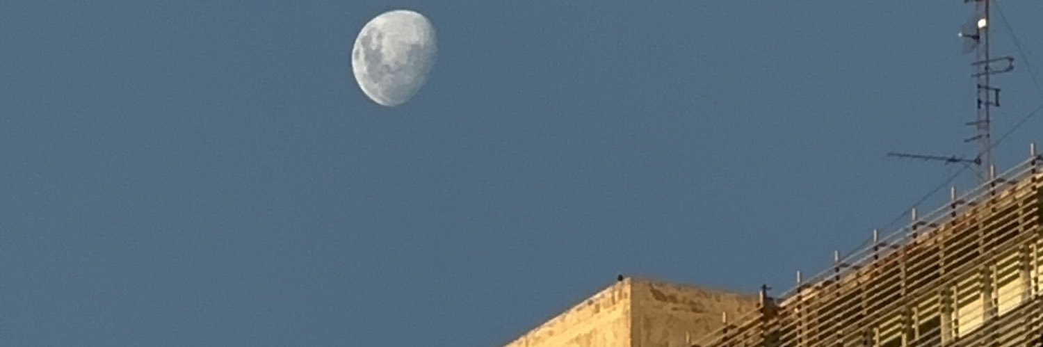 zoecassn's profile banner image